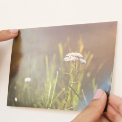 MASA MOCUJĄCA D.RECT ALL-STICK