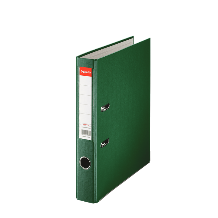 SEGREGATOR A4 ESSELTE EKO 50MM 81196 ZIELONY