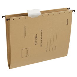 TECZKA ZAWIESZKOWA A4 ESSELTE 15212 SZARA KARTONOWA 230G 10SZT