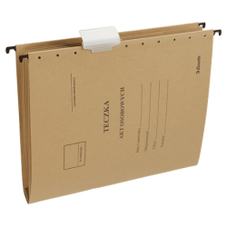 TECZKA ZAWIESZKOWA A4 ESSELTE 15212 SZARA KARTONOWA 230G 10SZT
