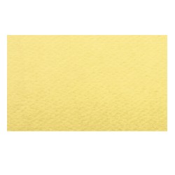 Papier A4 01 Girasole 220g