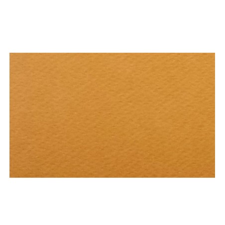 Papier A4 10 Tabacco 220g