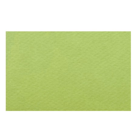 Papier A4 18 Pistacchio 220g