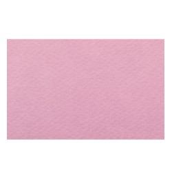 Papier A4 31 Rosa 220g