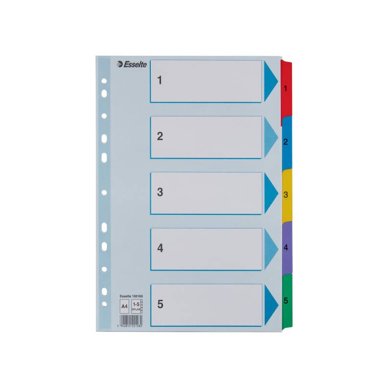 PRZEKŁADKI 1-5 A4 ESSELTE MYLAR 100160 MIX KARTON 160G