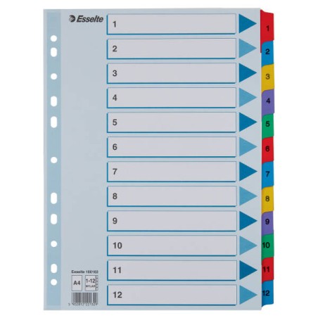 PRZEKŁADKI 1-12 A4 ESSELTE MYLAR 100162 MIX KARTON 160G