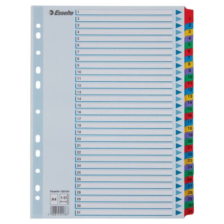 PRZEKŁADKI 1-31 A4 ESSELTE MYLAR 100164 MIX KARTON 160G