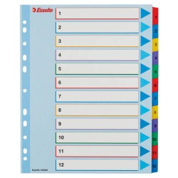 PRZEKŁADKI 1-12 A4 MAXI ESSELTE 100209 MIX