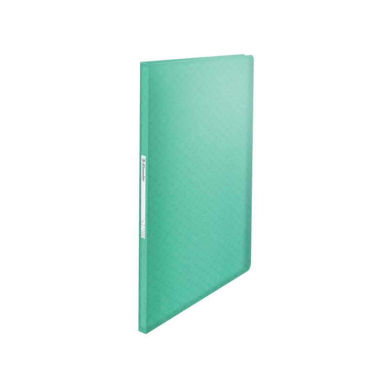 ALBUM OFERTOWY A4 ESSELTE COLOUR'BREEZE 626228 ZIELONY PLASTIK 40 KOSZULEK