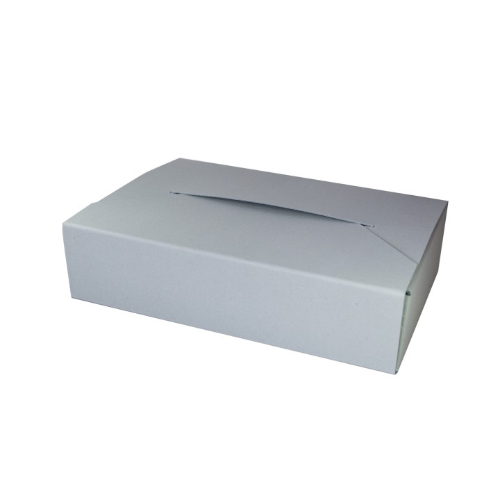 PUDŁO ARCHIWIZACYJNE EASYWINGS BEZKWAS 1300G 350X260X150 MM