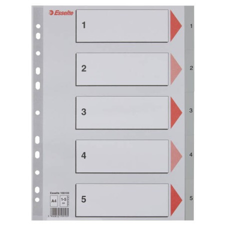 PRZEKŁADKI 1-5 A4 ESSELTE 100103 SZARY PP