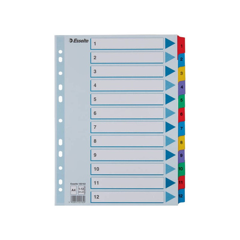 PRZEKŁADKI 1-12 A4 ESSELTE MYLAR 100162 MIX KARTON 160G