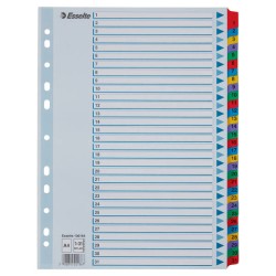 PRZEKŁADKI 1-31 A4 ESSELTE MYLAR 100164 MIX KARTON 160G