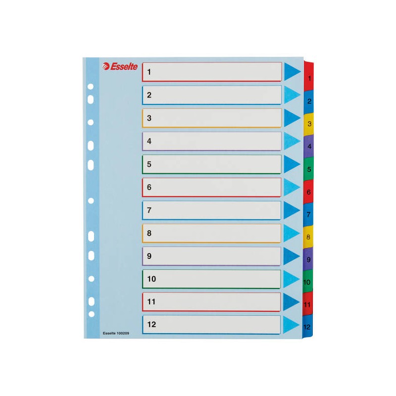 PRZEKŁADKI 1-12 A4 MAXI ESSELTE 100209 MIX