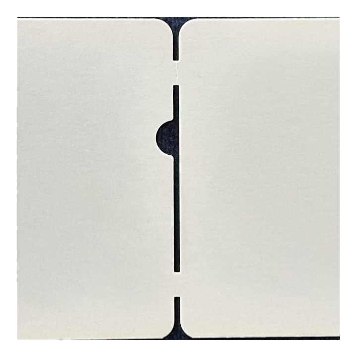 Bilety parkingowe szlabanowe 54x86mm op.7000 SKIDATA* BFT* BTS*