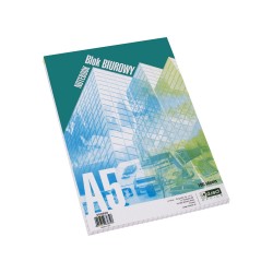 BLOK BIUROWY D.RECT A5 100 ARKUSZY KRATKA