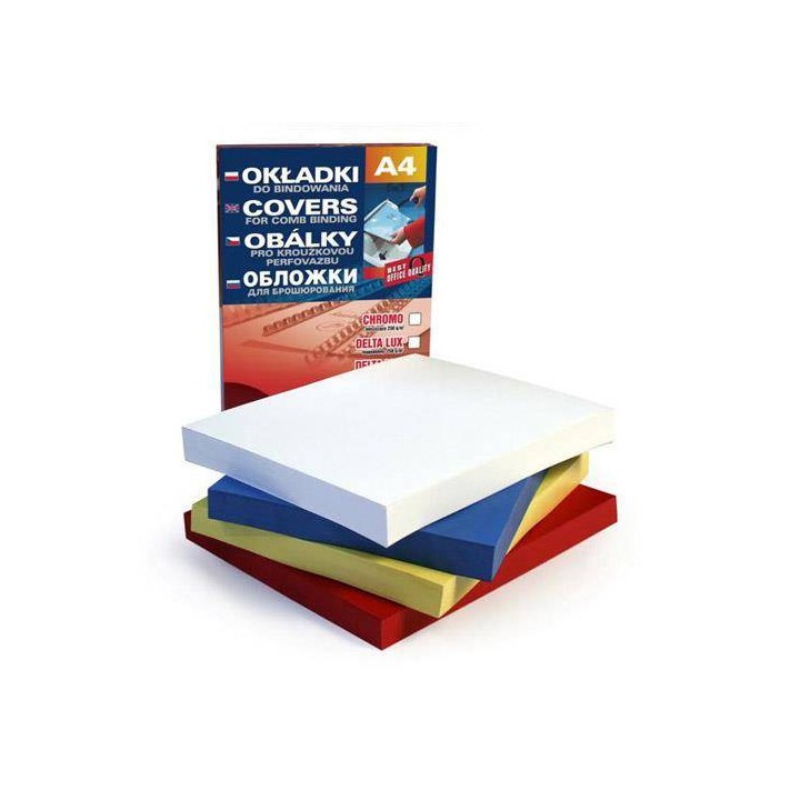 KARTON DO BINDOWANIA SKÓROPODOBNY A4 ARGO DELTA 407101 SZARY 250G/M2 100ARK