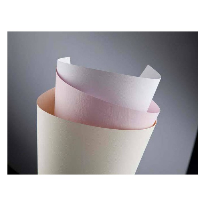 KARTON OZDOBNY A4 ARGO STANDARD FLORYDA 200301 BIAŁY 220G 20ARK