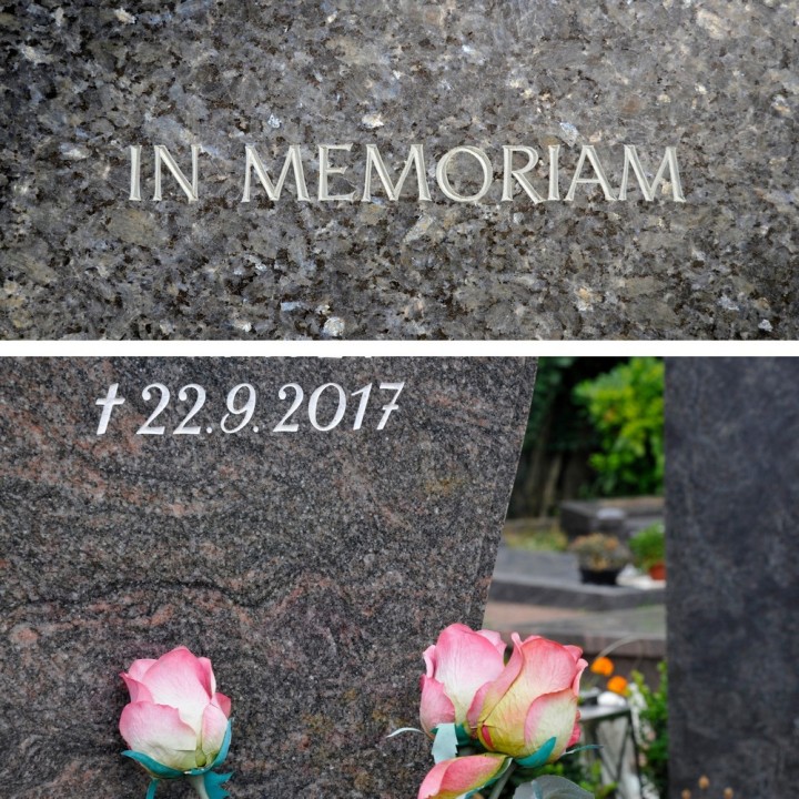 ZESTAW ETERNA IH DO RENOWACJI NAPISÓW ZŁOTY