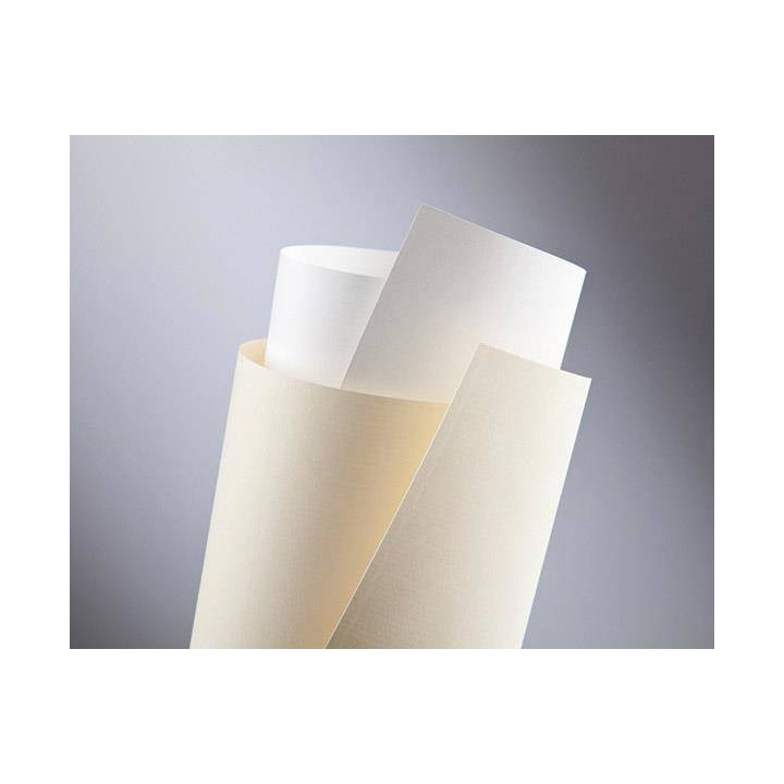 KARTON OZDOBNY A4 ARGO STANDARD LAID 206001 BIAŁY 120G 50ARK