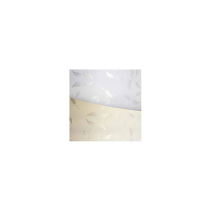KARTON OZDOBNY A4 ARGO PREMIUM LIANA 206501 BIAŁY 100G 50ARK