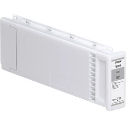 TUSZ ORYGINALNY EPSON C13T800900 GREY 700 ML