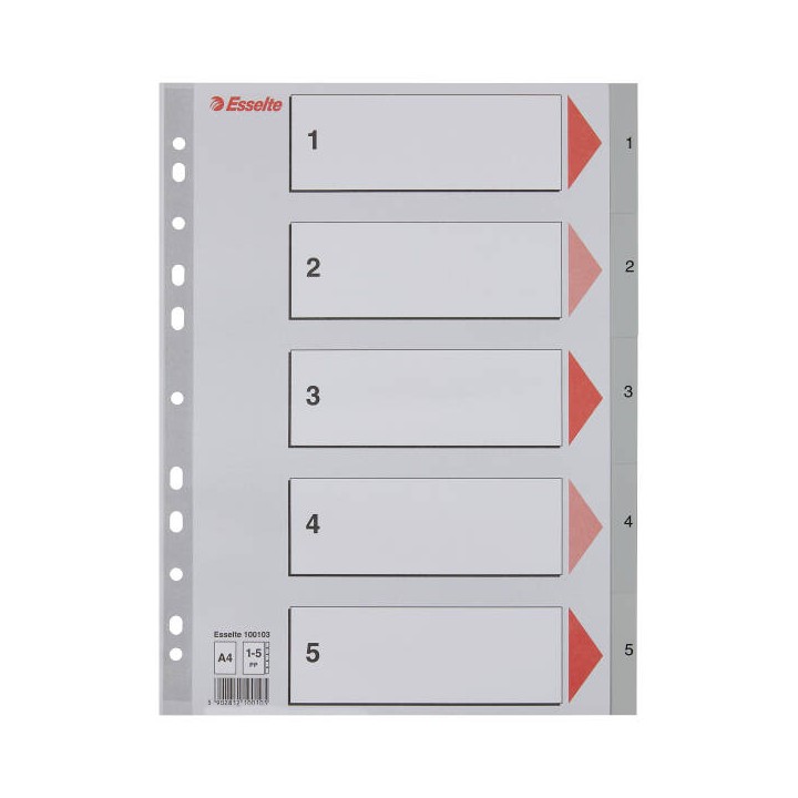 PRZEKŁADKI 1-5 A4 ESSELTE 100103 SZARY PP