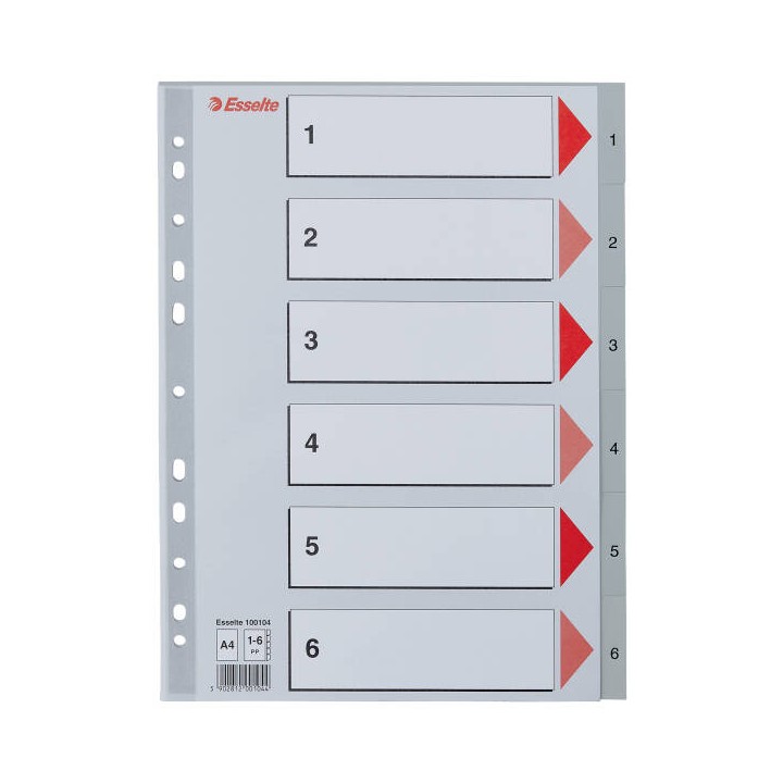 PRZEKŁADKI 1-6 A4 ESSELTE 100104 SZARY PP