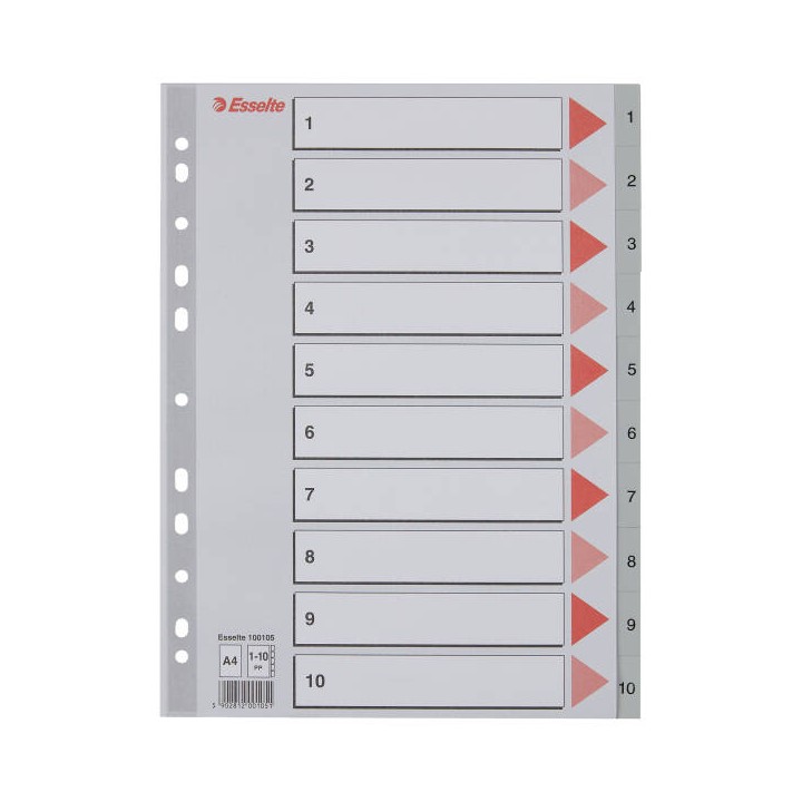 PRZEKŁADKI 1-10 A4 ESSELTE 100105 SZARY PP