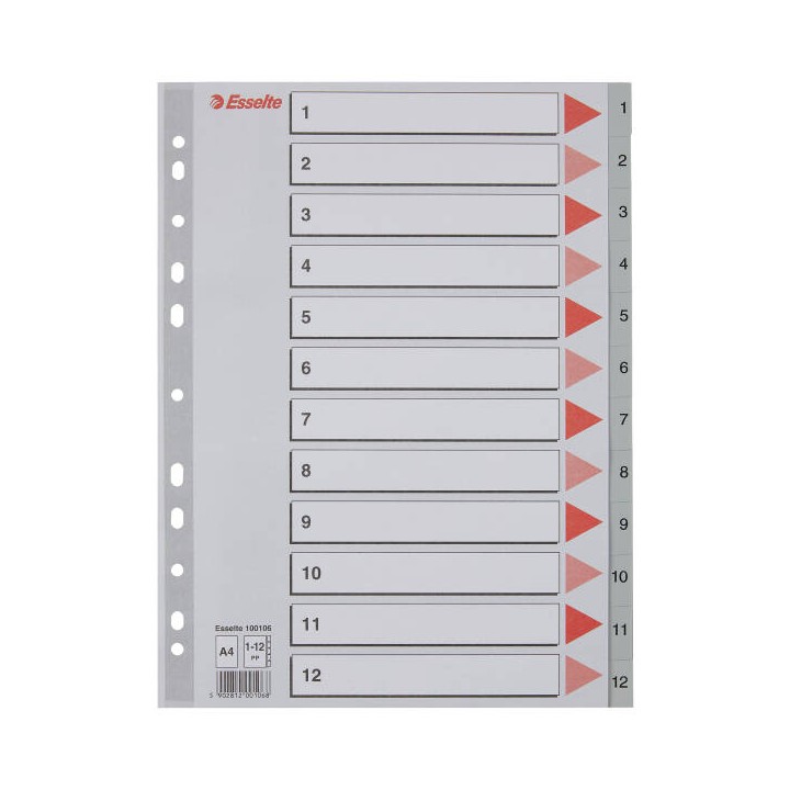 PRZEKŁADKI 1-12 A4 ESSELTE 100106 SZARY PP