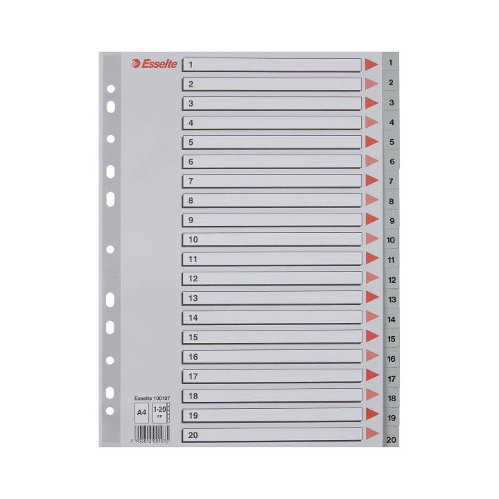 PRZEKŁADKI 1-20 A4 ESSELTE 100107 SZARY PP