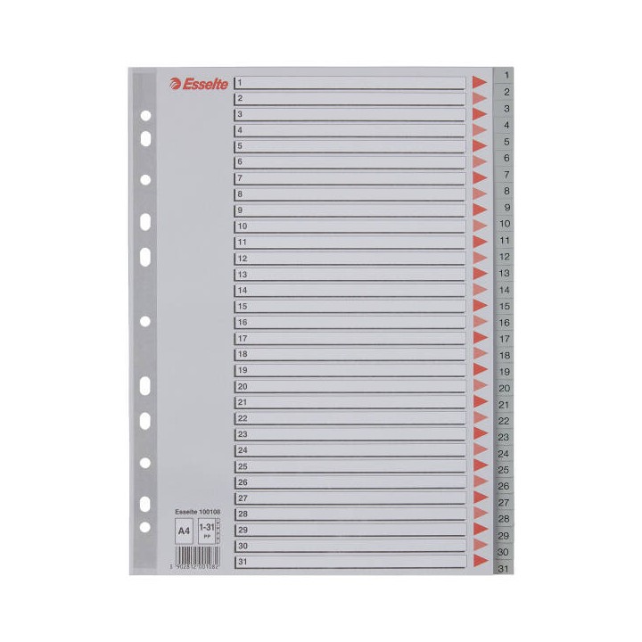 PRZEKŁADKI 1-31 A4 ESSELTE 100108 SZARY PP