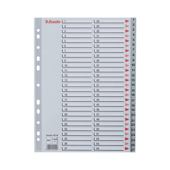 PRZEKŁADKI 1-54 A4 ESSELTE 100109 SZARY PP