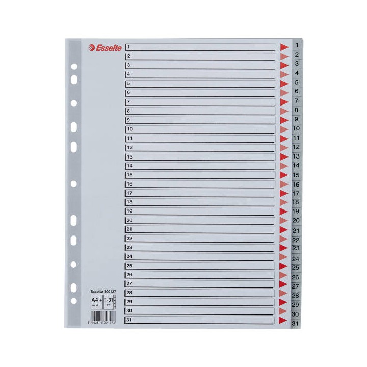 PRZEKŁADKI 1-31 A4 MAXI ESSELTE 100127 SZARY PP