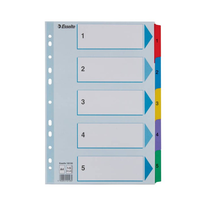 PRZEKŁADKI 1-5 A4 ESSELTE MYLAR 100160 MIX KARTON 160G