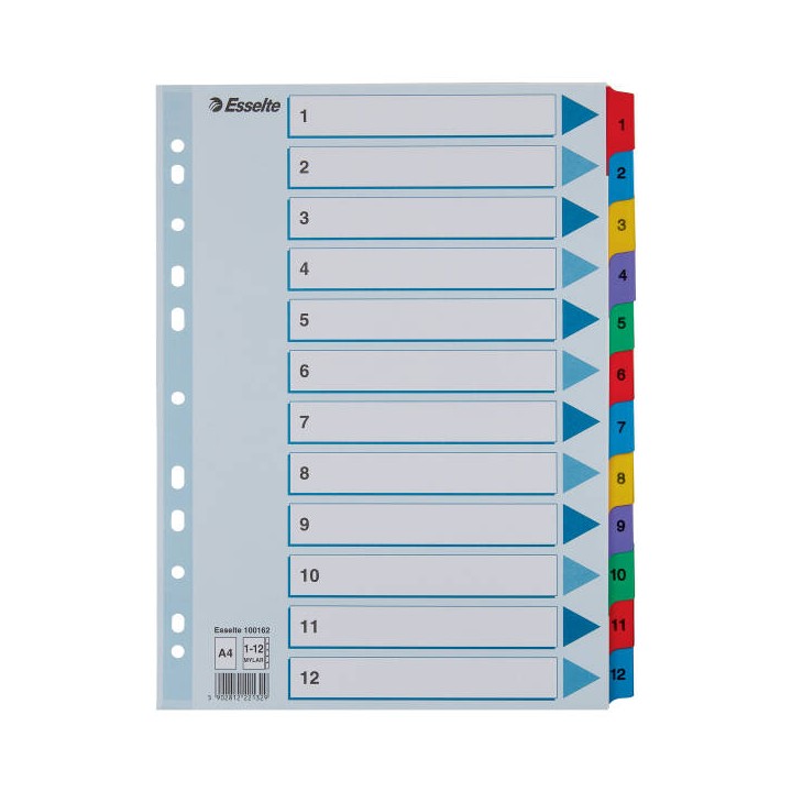 PRZEKŁADKI 1-12 A4 ESSELTE MYLAR 100162 MIX KARTON 160G