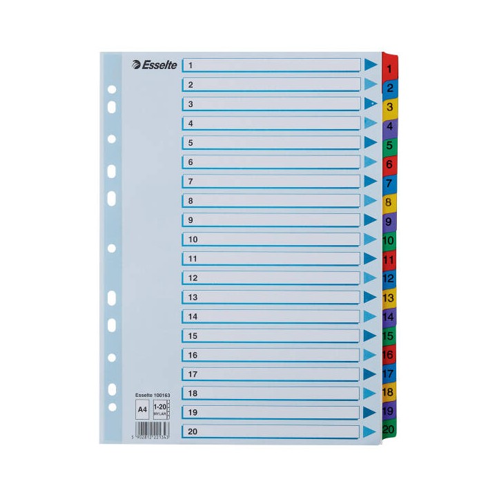 PRZEKŁADKI 1-20 A4 ESSELTE MYLAR 100163 MIX KARTON 160G
