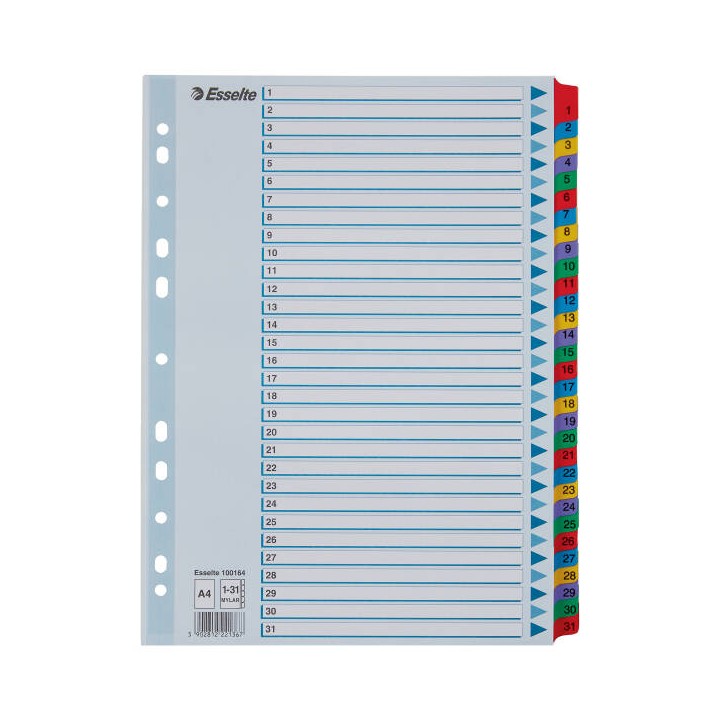 PRZEKŁADKI 1-31 A4 ESSELTE MYLAR 100164 MIX KARTON 160G
