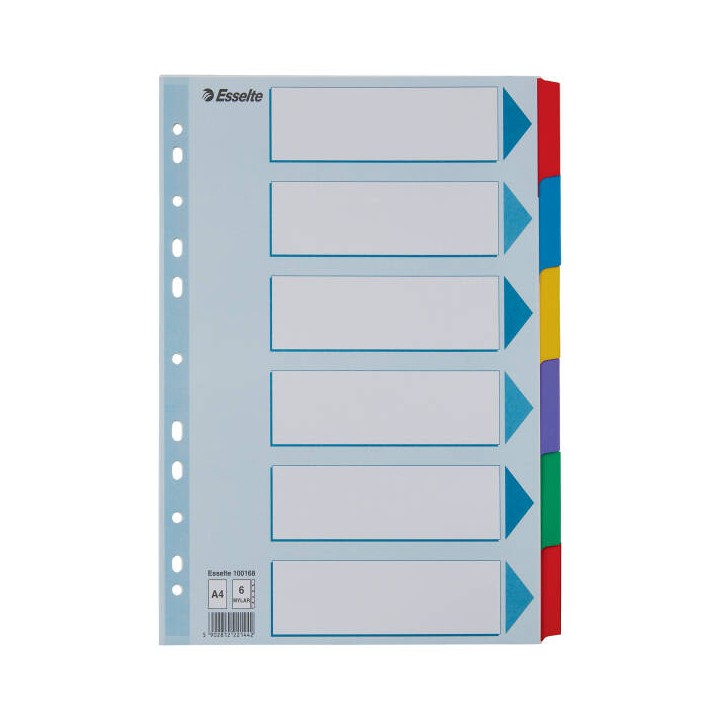 PRZEKŁADKI A4 ESSELTE MYLAR 100168 MIX KARTON 160G 6SZT