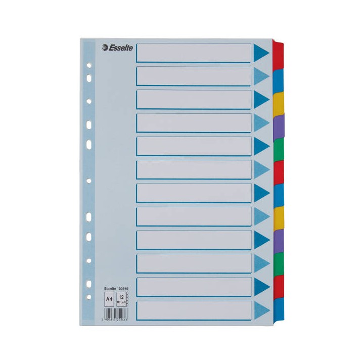 PRZEKŁADKI A4 ESSELTE MYLAR 100169 MIX KARTON 160G 12SZT