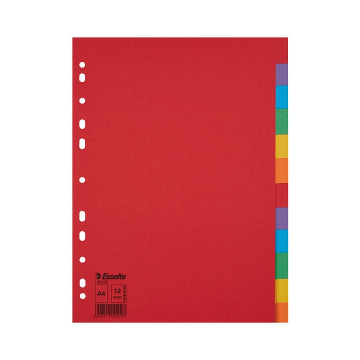 PRZEKŁADKI A4 ESSELTE 100202 MIX KARTON 12SZT