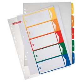 PRZEKŁADKI 1-5 A4 MAXI ESSELTE 100211 MIX PP