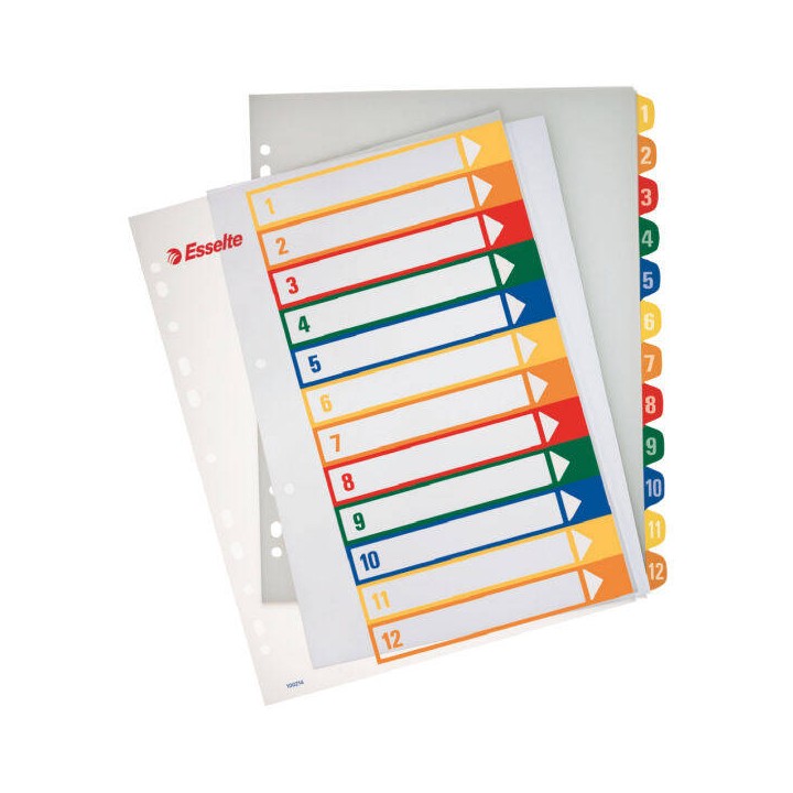 PRZEKŁADKI 1-12 A4 MAXI ESSELTE 100214 MIX PP
