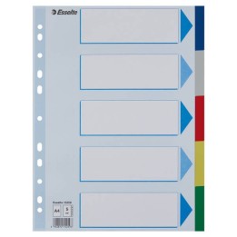 PRZEKŁADKI A4 ESSELTE 15259 MIX PP 5SZT