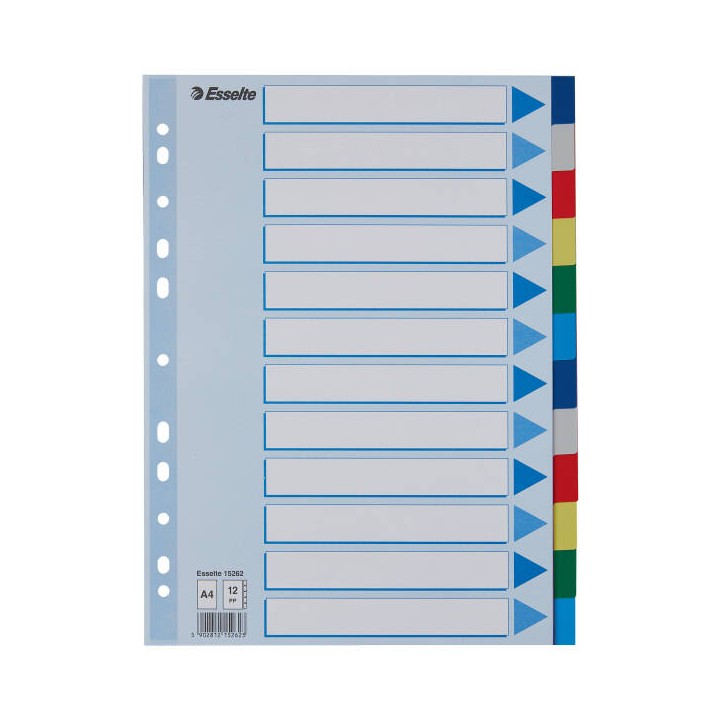 PRZEKŁADKI A4 ESSELTE 15262 MIX PP 12SZT