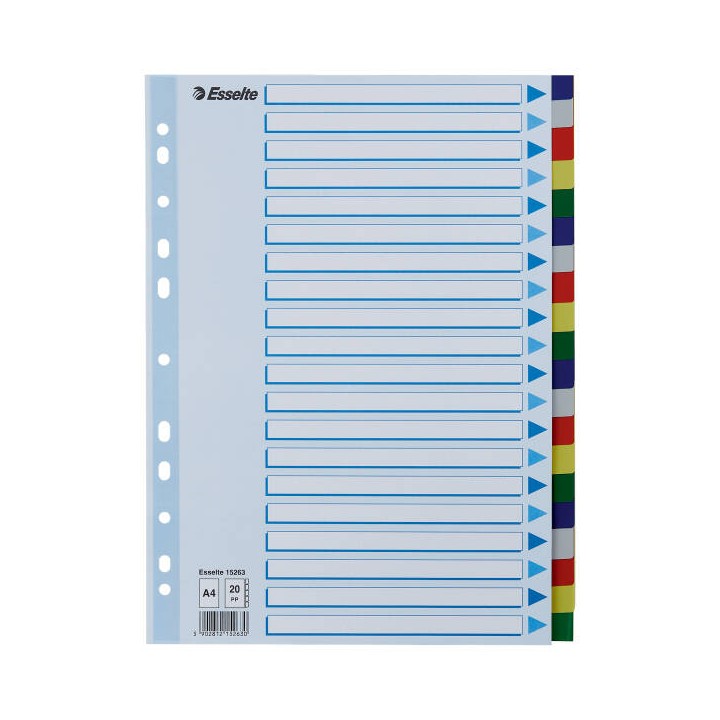 PRZEKŁADKI A4 ESSELTE 15263 MIX PP 20SZT