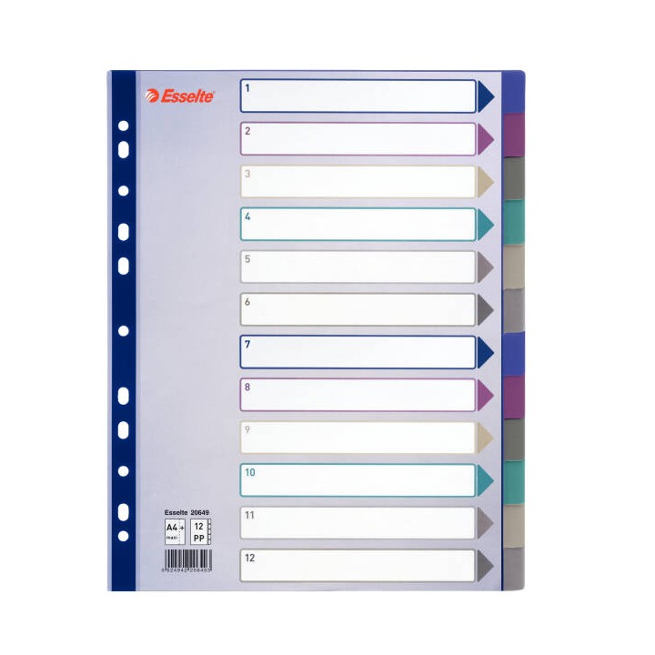 PRZEKŁADKI A4 MAXI ESSELTE 20649 MIX PP 12SZT