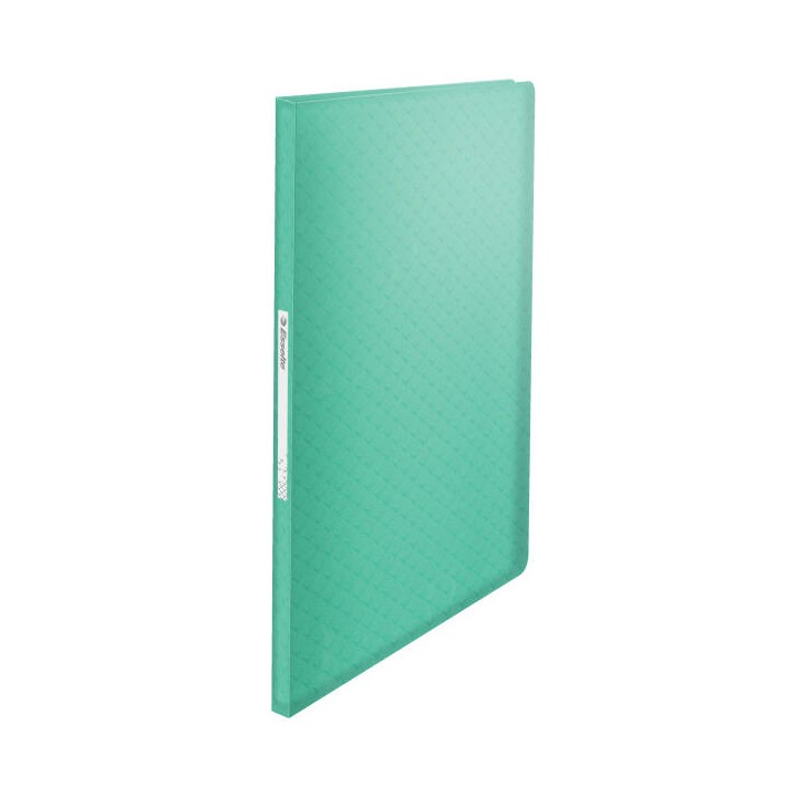 ALBUM OFERTOWY A4 ESSELTE COLOUR'BREEZE 626228 ZIELONY PLASTIK 40 KOSZULEK