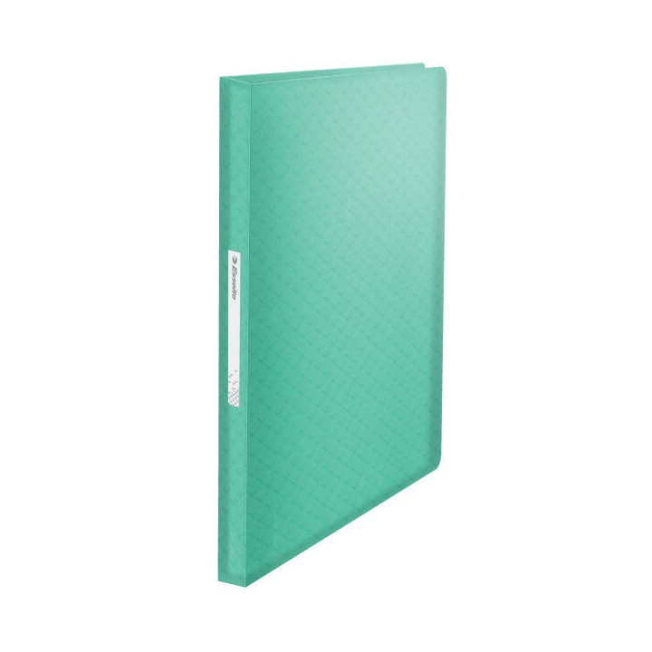 ALBUM OFERTOWY A4 ESSELTE COLOUR'BREEZE 626238 ZIELONY PLASTIK 80 KOSZULEK