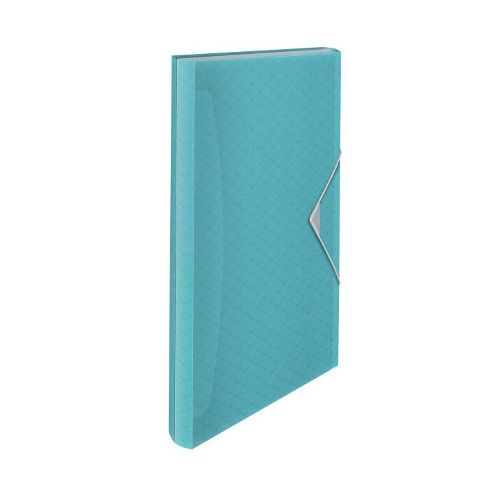 TECZKA ROZSZERZANA A4 ESSELTE COLOUR'BREEZE 626252 NIEBIESKI 6 PRZEGRÓDEK